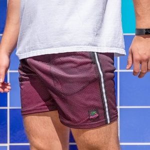The mesh ups chubbies shorts 5.5” Inseam